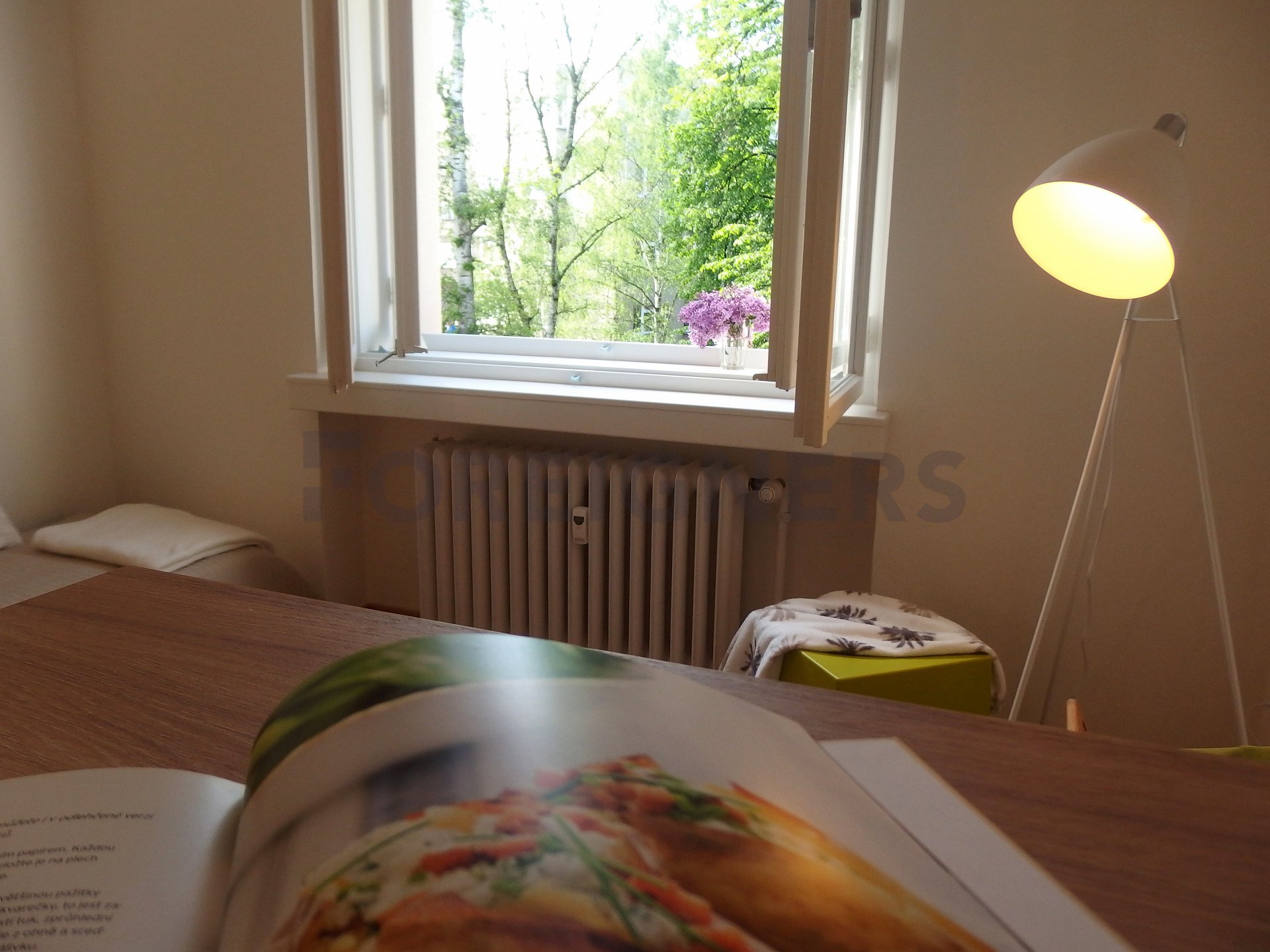 Studio (1+kk) Apartment for Rent in Hradec Králové Foreigners.cz