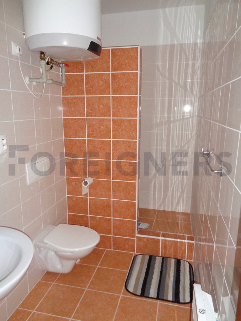 Studio 1 kk Apartment For Rent In Brno Foreigners cz